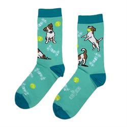 CALZINI ALTERSOCKS LINEA PACONPOCO JACK RUSSEL