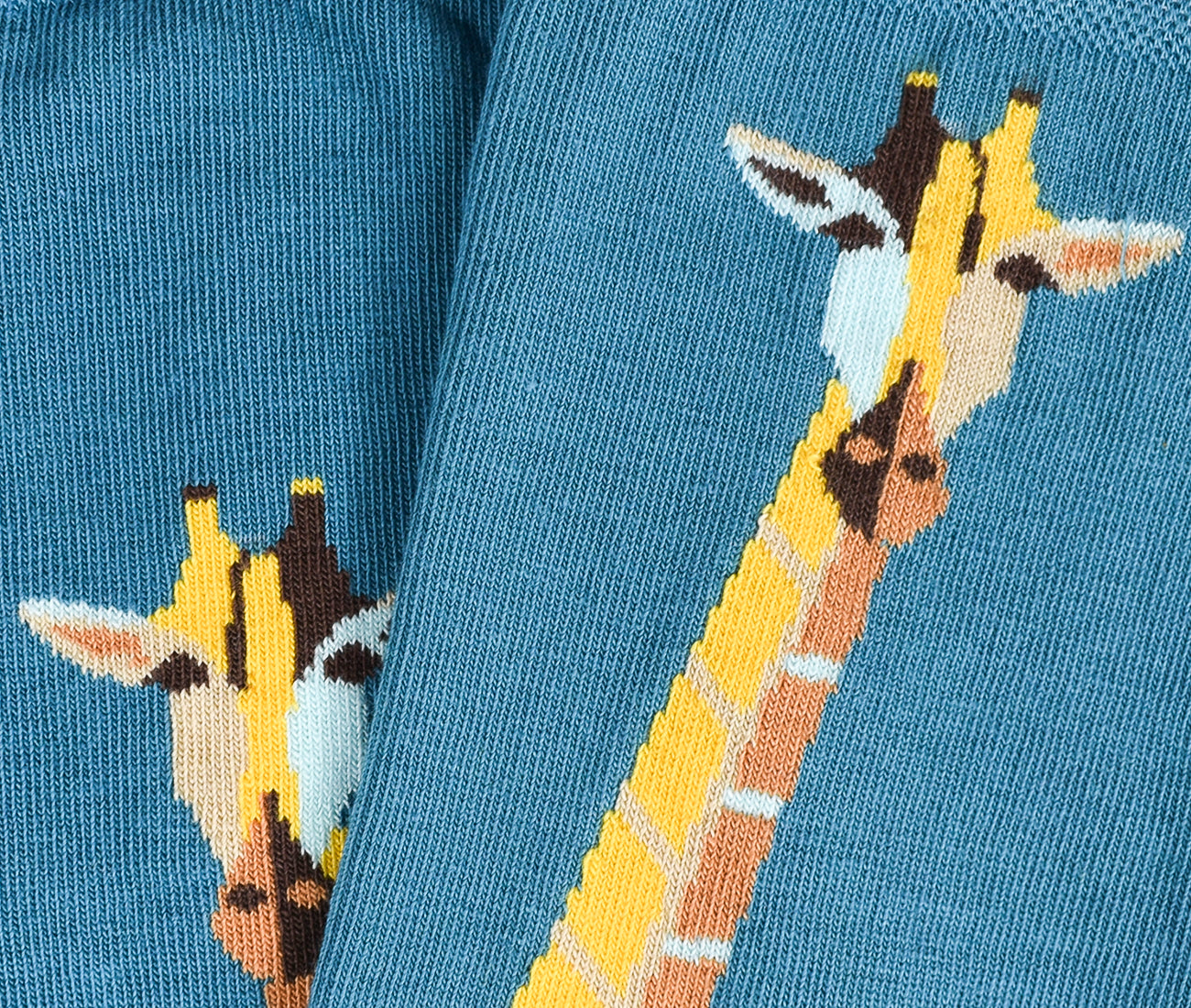 Giraffa