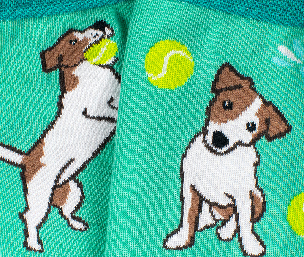 Jack Russel
