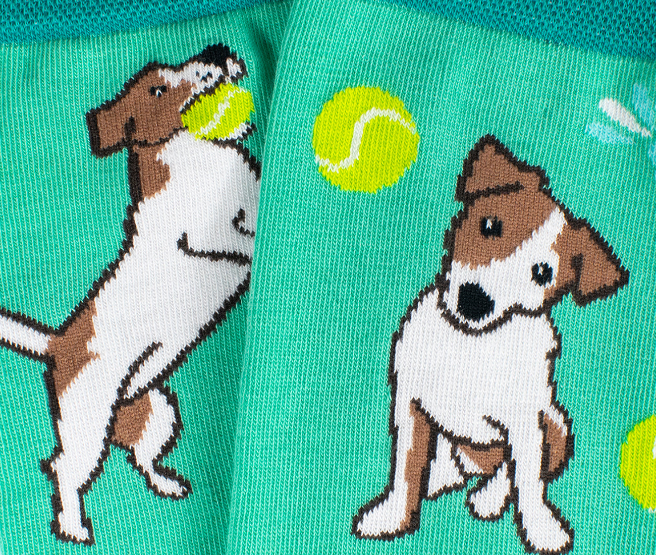 Jack Russel