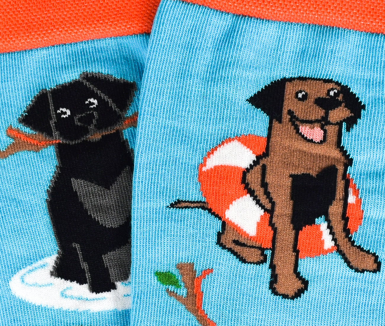 Labrador