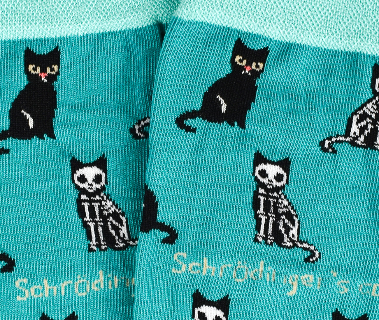 Schrödinger’s Cat